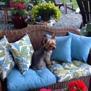 Meet your Posher, Joann